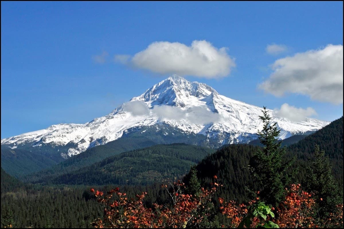 Oregon First, Realtors®, Professionals in Gresham